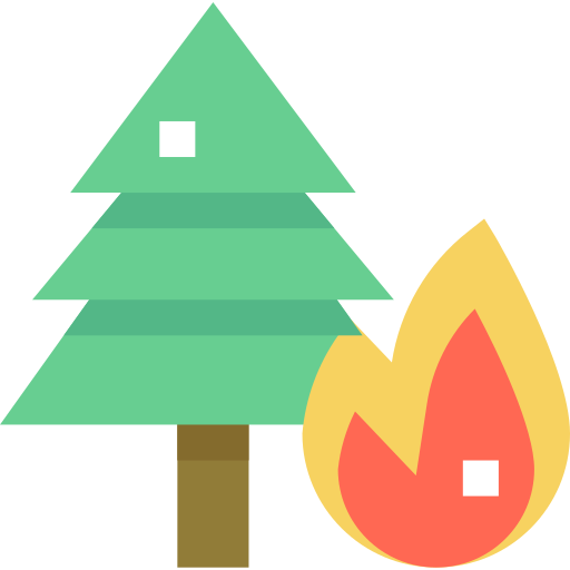 Forest fire
